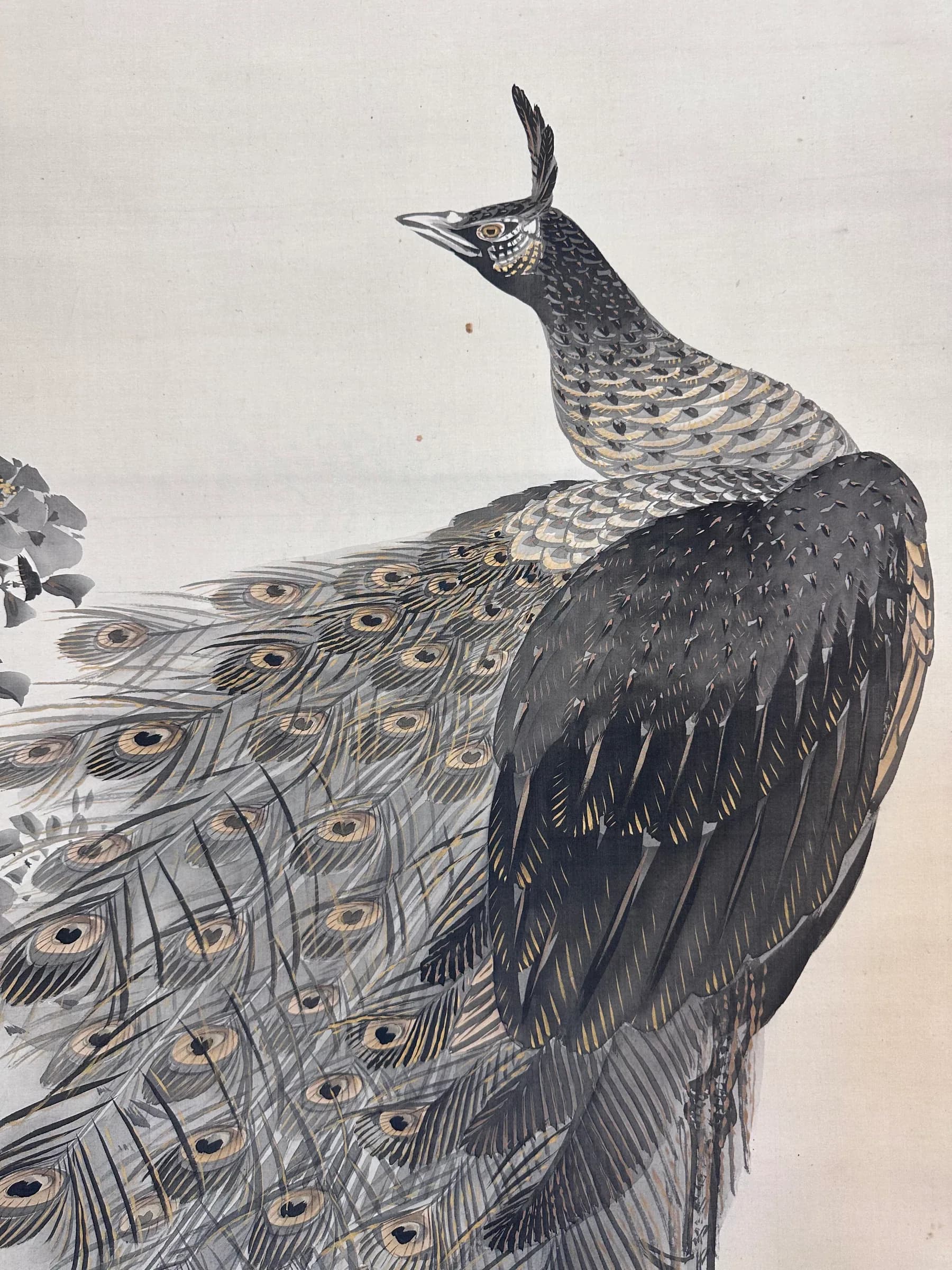 Murase Gyokuden — Peacock, Taishō