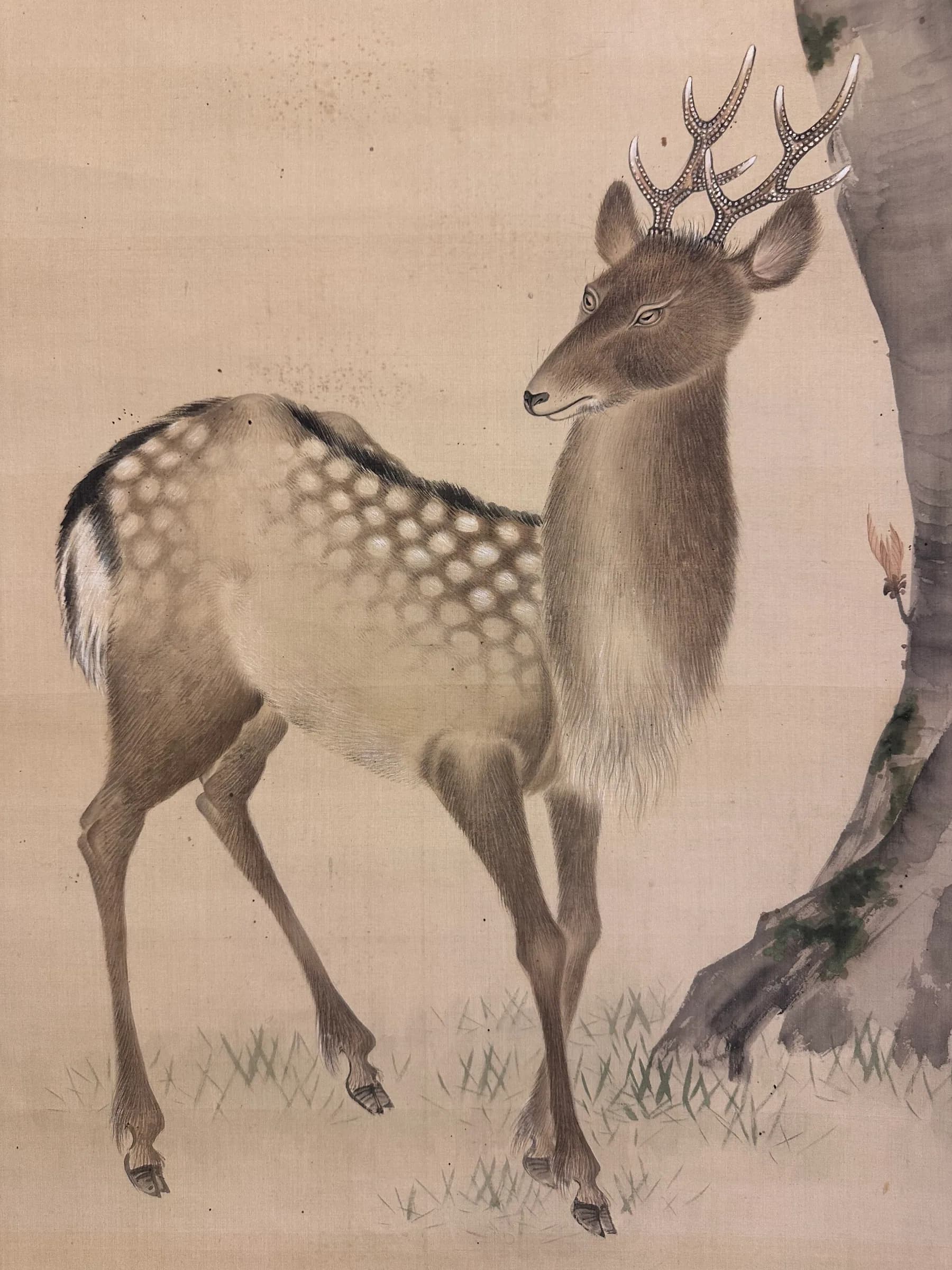 Maruyama Ōzui — Three Shrines, Edo Period
