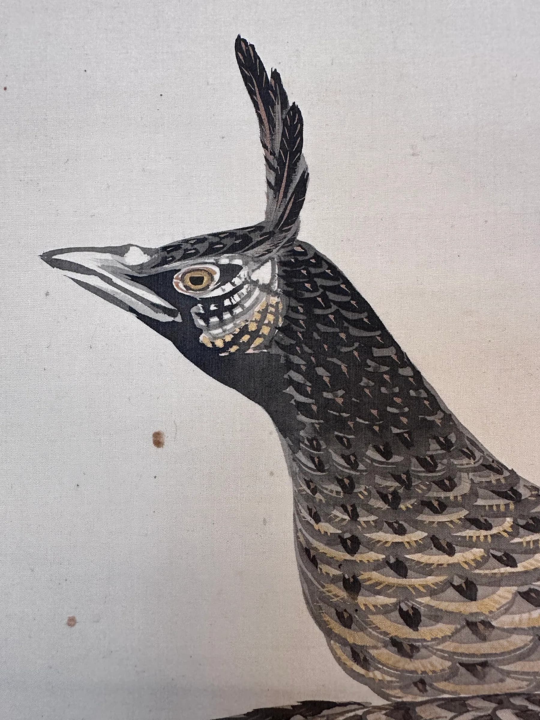 Murase Gyokuden — Peacock, Taishō