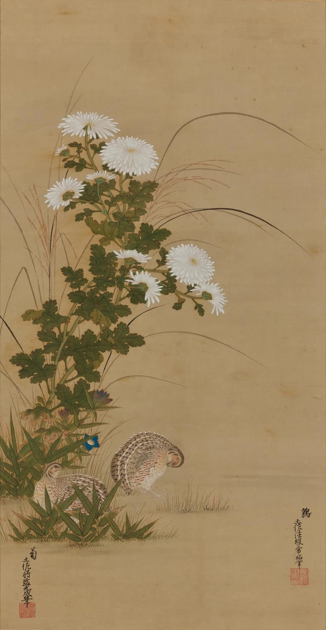Tosa Mitsuoki & Tosa Mitsunari, Quails in an Autumn Field, seventeenth century, Tokyo National Museum