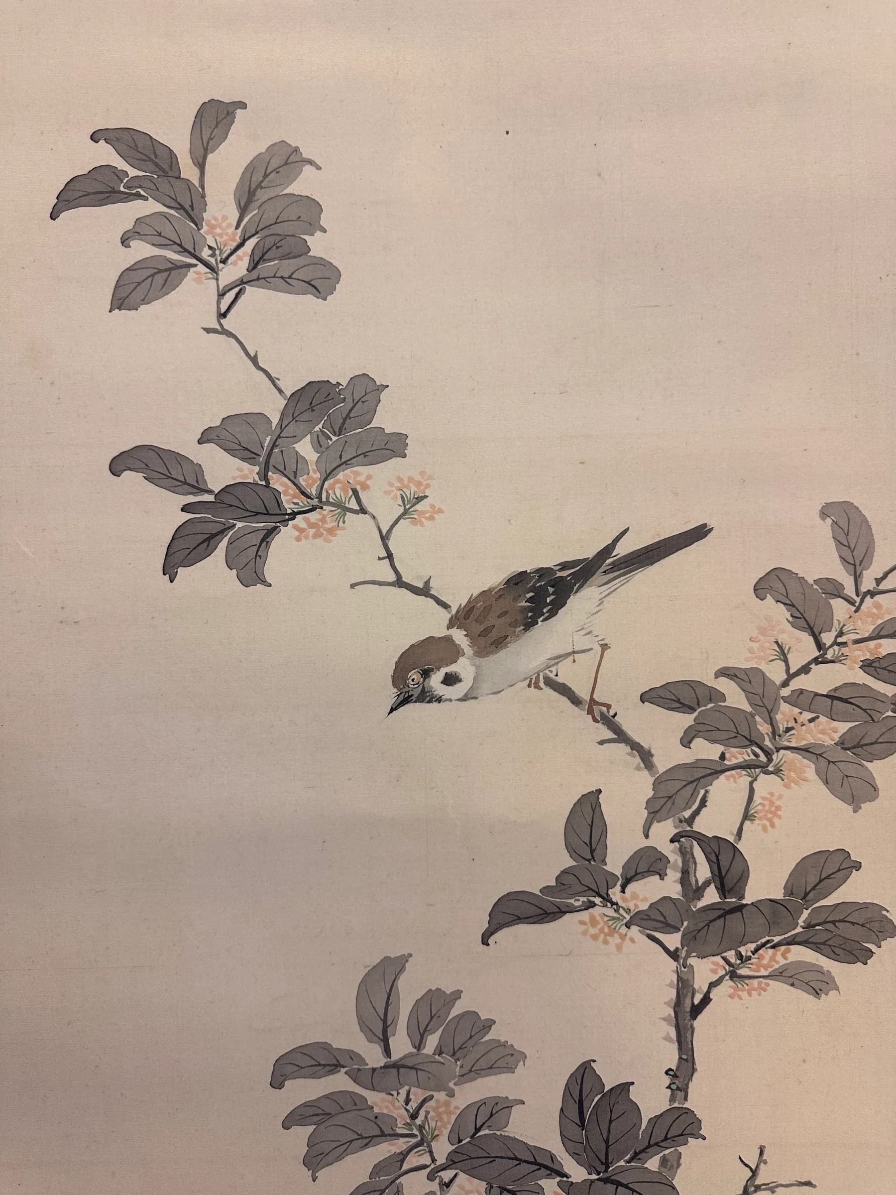 Kanō Uhō — Autumn Flora and Pair of Sparrows, Taishō Period