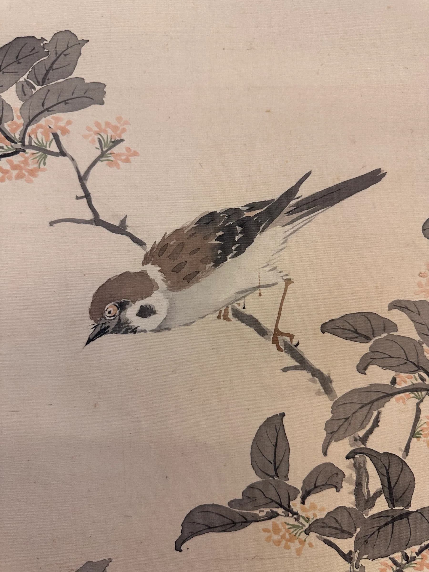 Kanō Uhō — Autumn Flora and Pair of Sparrows, Taishō Period